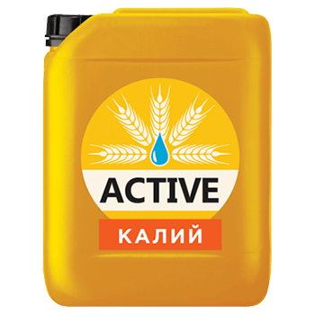ACTIVE-Калий
